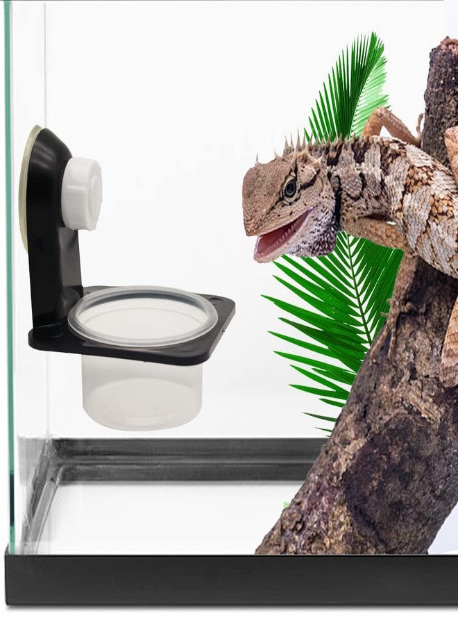 APlayfulBee Double Crested Gecko Feeding Ledge with 10 Pcs 0.5oz Bowls, Detachable Suction Cup Reptile Feeding Dish Feeder for Lizard, Tortoise, Spider Gecko - Image 4